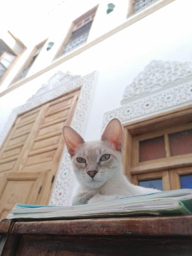Sendis Dar Hostel เฟส ภายนอก รูปภาพ